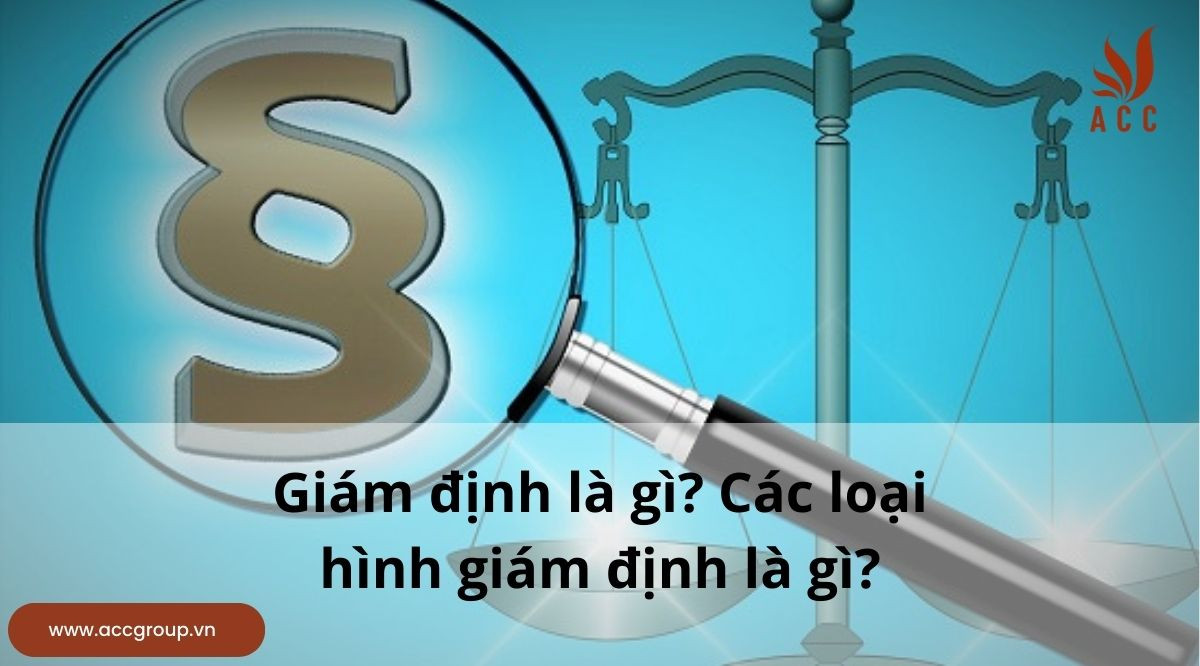 Giám định là gì? Các loại hình giám định là gì?