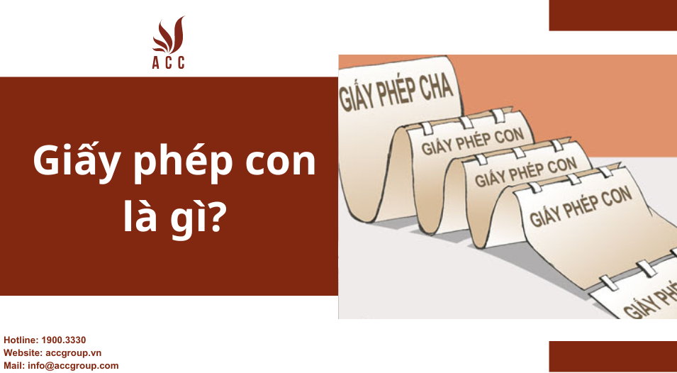 Giấy phép con là gì