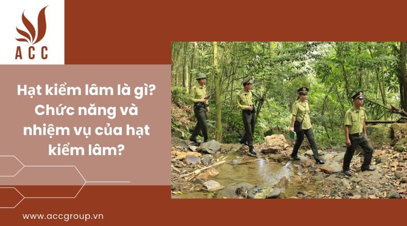 Hạt kiểm lâm là gì?Chức năng và nhiệm vụ của hạt kiểm lâm?