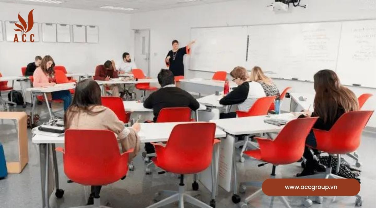 Hình thức tổ chức và hoạt động của trường đại học tư thục