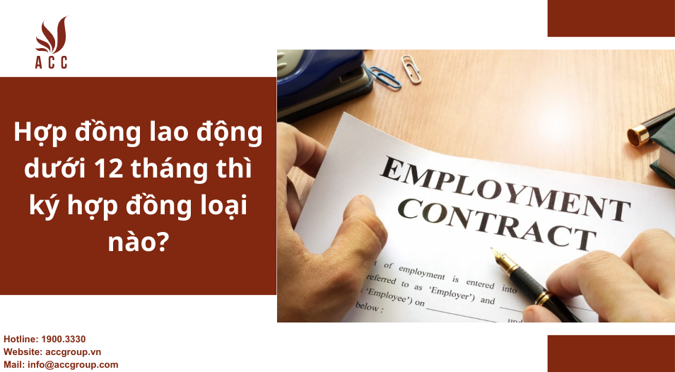 hop-dong-lao-dong-duoi-12-thang-thi-ky-hop-dong-loai-nao