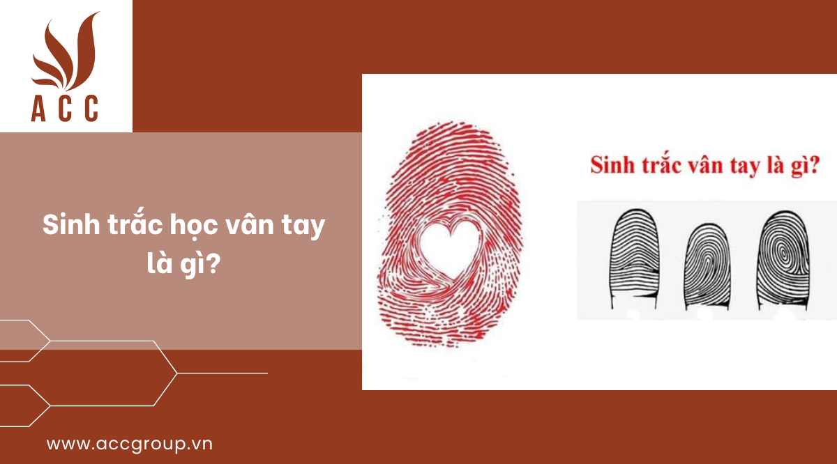 huong-dan-xin-visa-du-lich-dai-loan-cho-sinh-vien-2024-6