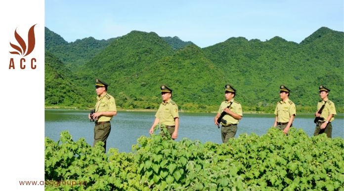 Kiểm lâm được tổ chức như thế nào?