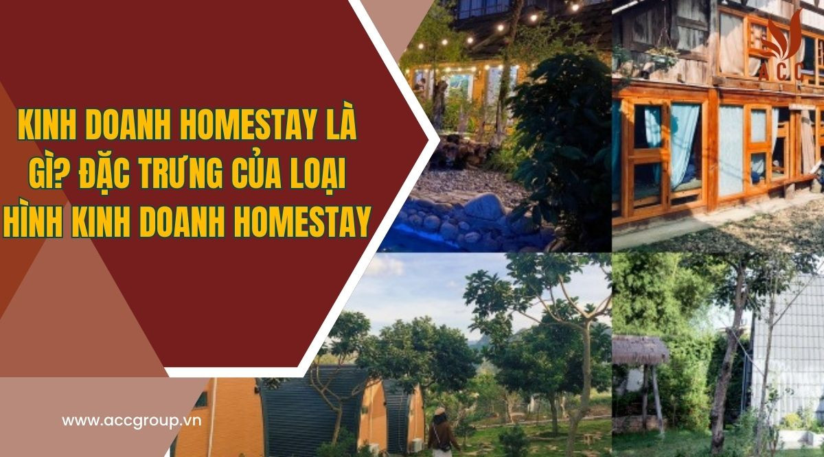 Kinh doanh homestay là gì? Đặc trưng của loại hình kinh doanh Homestay