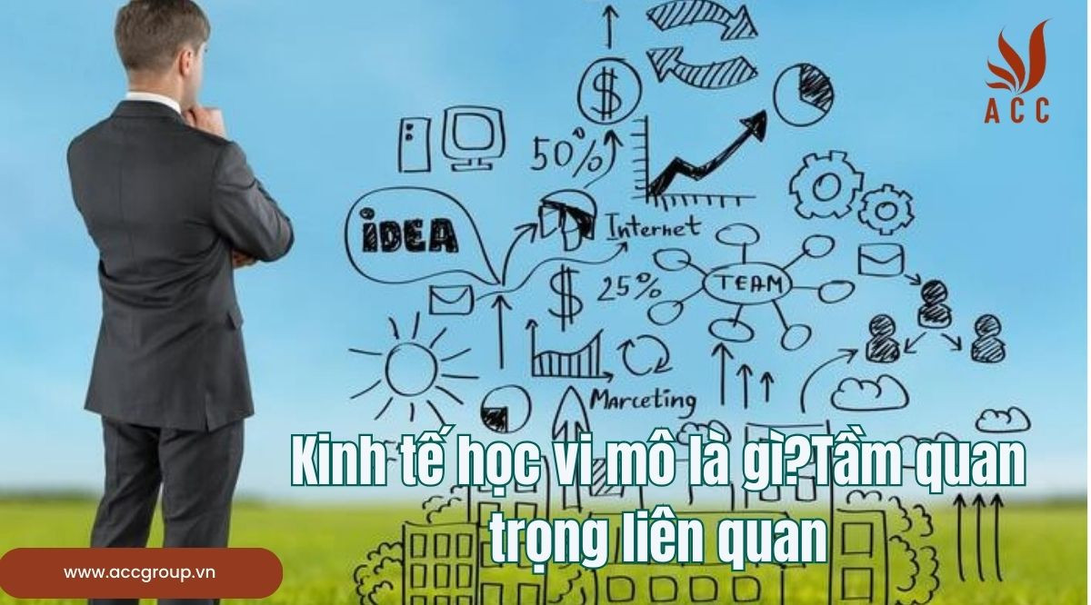 Kinh tế học vi mô là gì?Tầm quan trọng liên quan