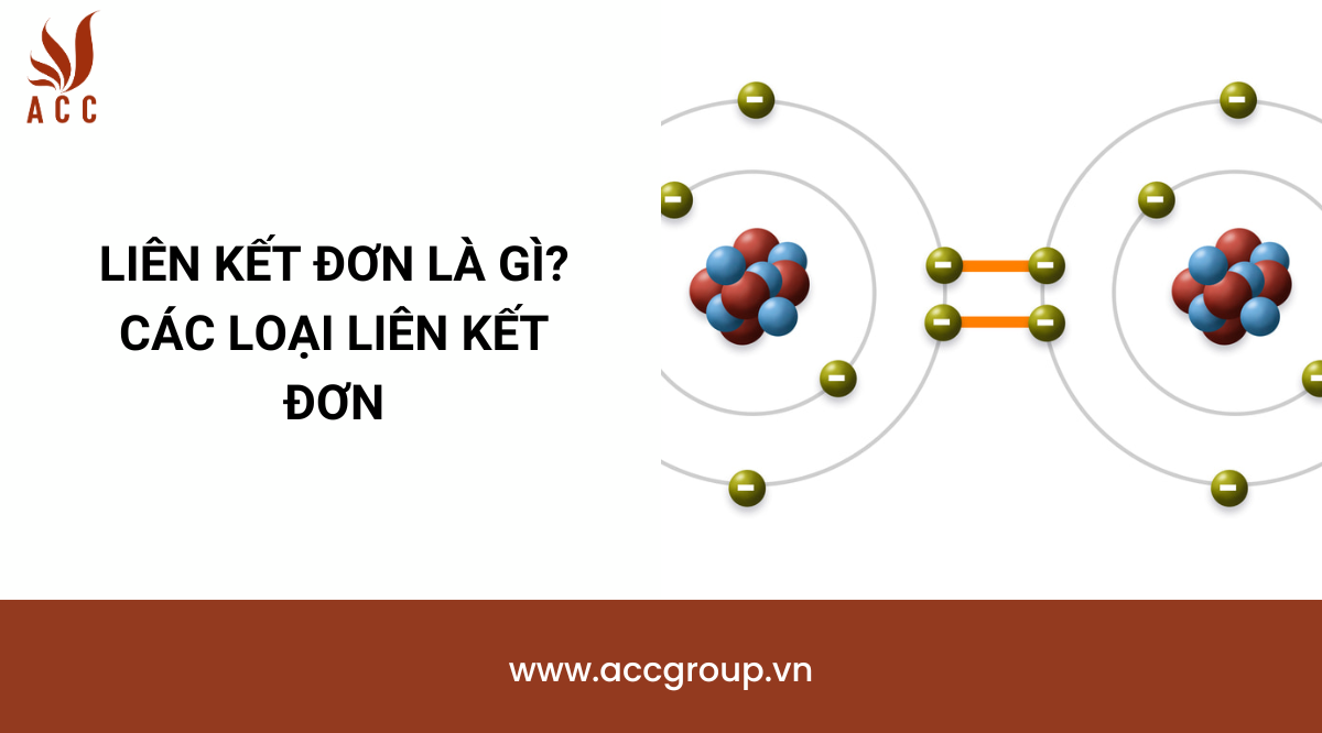 Liên kết đơn là gì? Các loại liên kết đơn