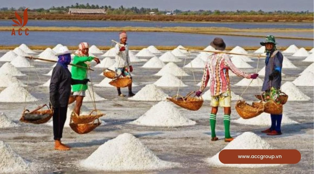 Lợi ích của muối thô