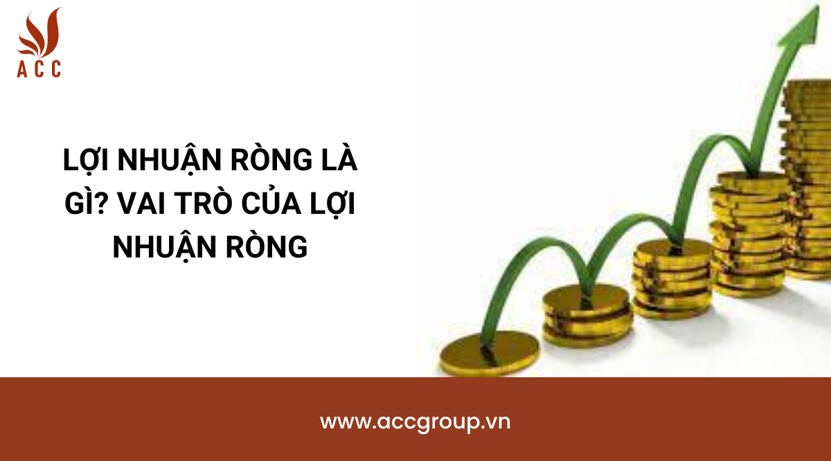 Lợi nhuận ròng là gì? Vai trò của lợi nhuận ròng