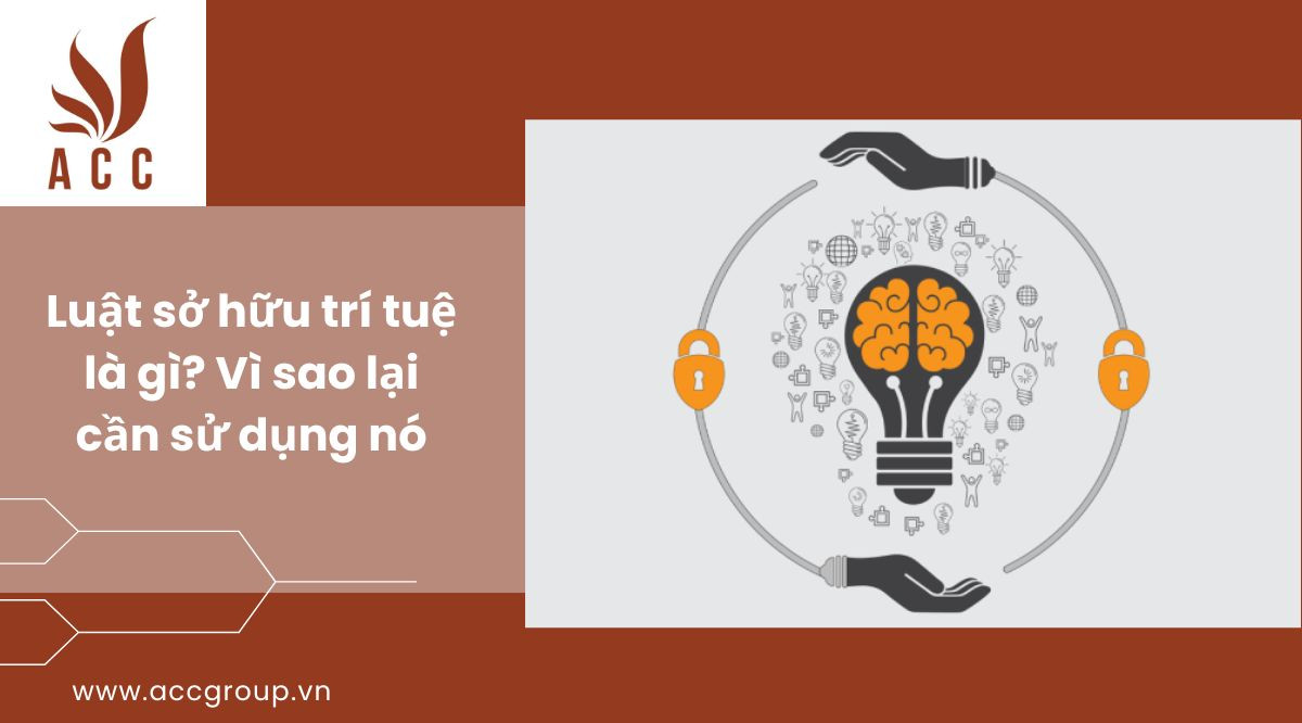 Luật sở hữu trí tuệ là gì? Vì sao lại cần sử dụng nó