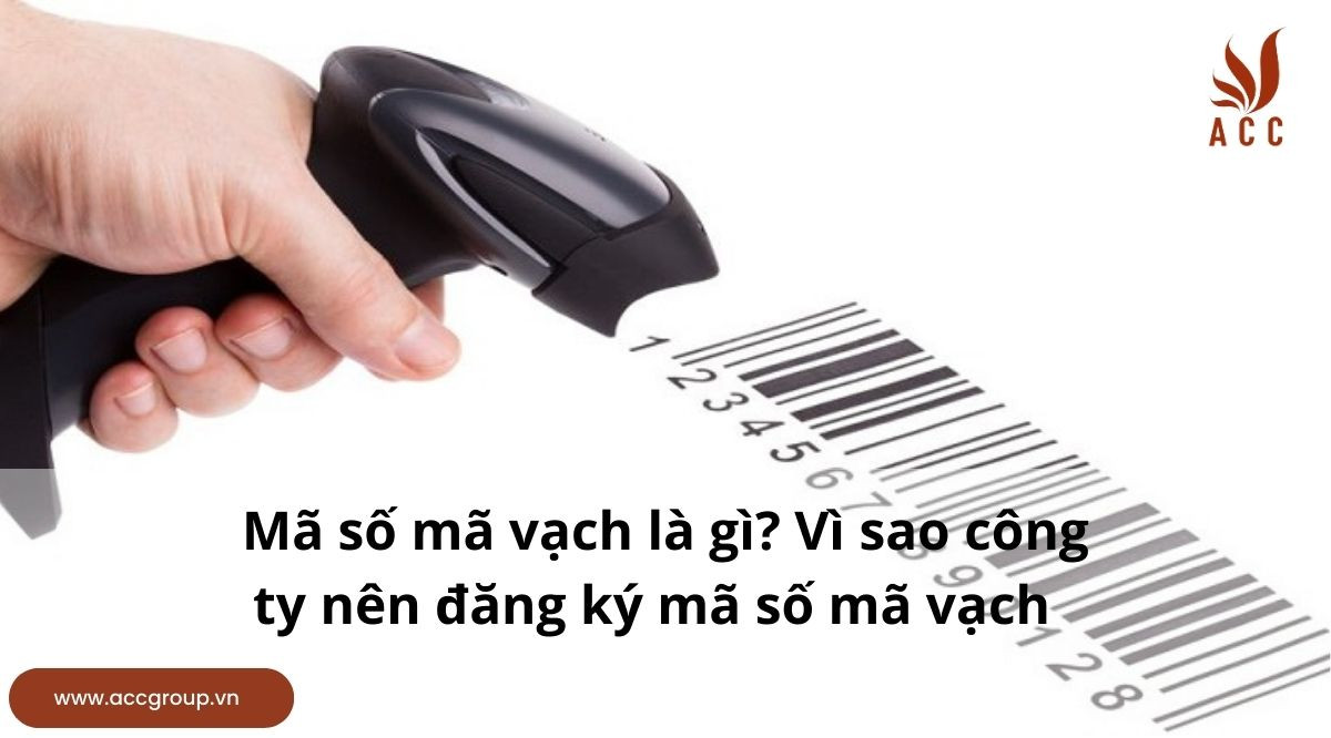 Mã số mã vạch là gì? Vì sao công ty nên đăng ký mã số mã vạch