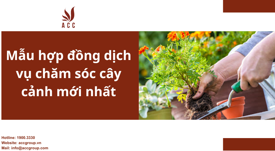 Mẫu hợp đồng dịch vụ chăm sóc cây cảnh mới nhất