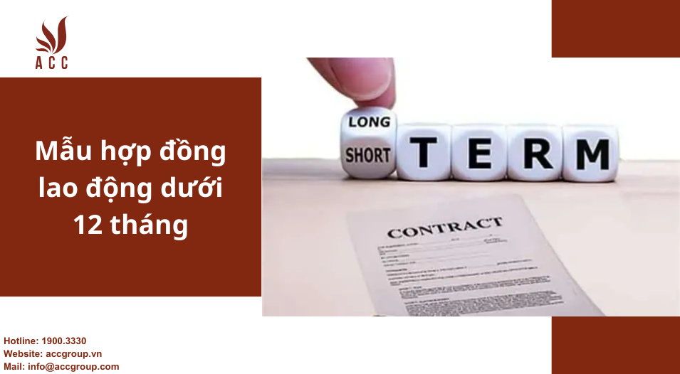 mau-hop-dong-lao-dong-duoi-12-thang