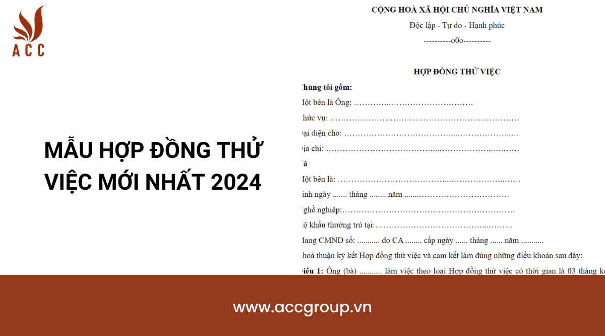 Mẫu hợp đồng thử việc mới nhất 2024