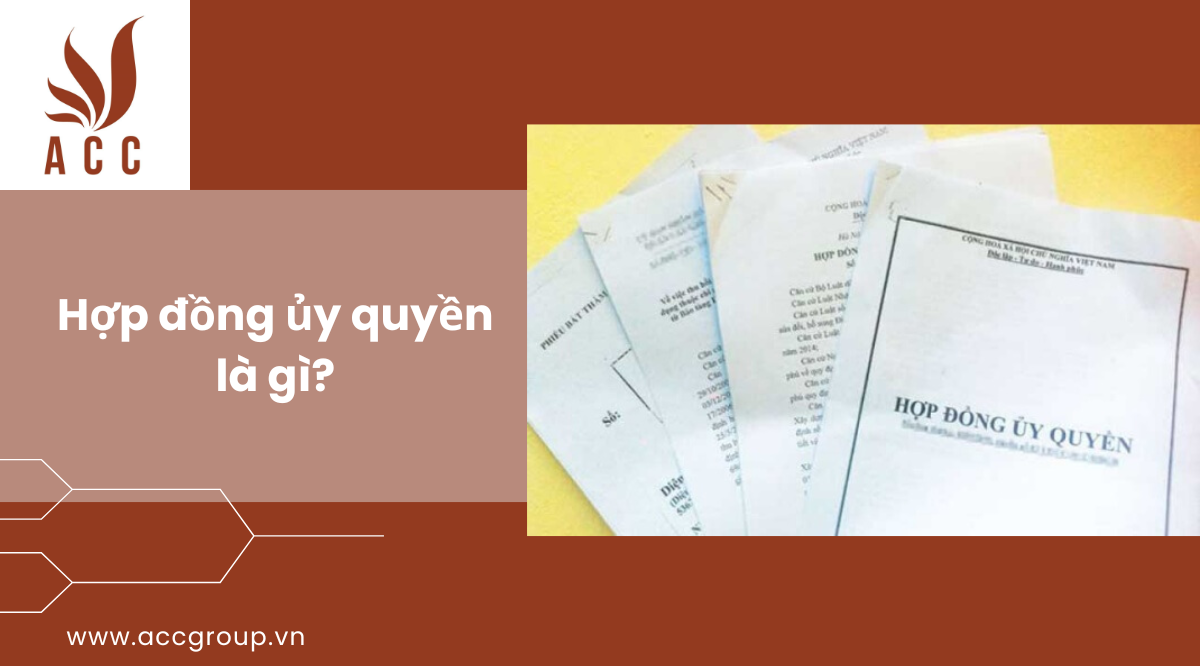 mau-phieu-dang-ky-du-tuyen-vao-lop-10-nam-2024-1-1