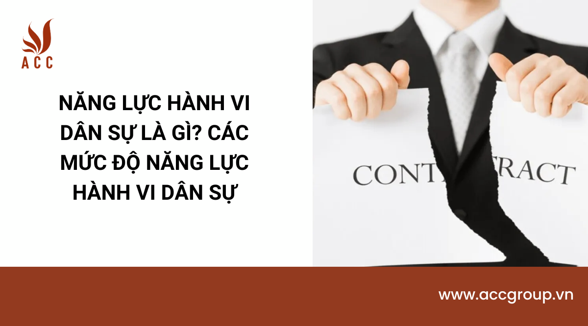 Năng lực hành vi dân sự là gì? Các mức độ năng lực hành vi dân sự