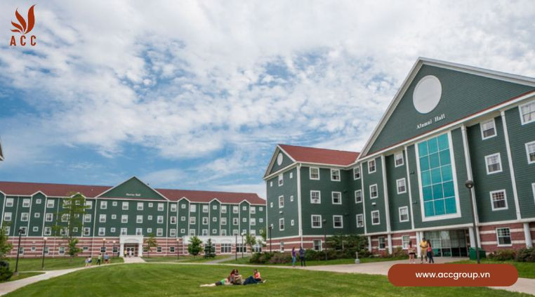 Nên cho bé học trường tư thục hay trường công lập?