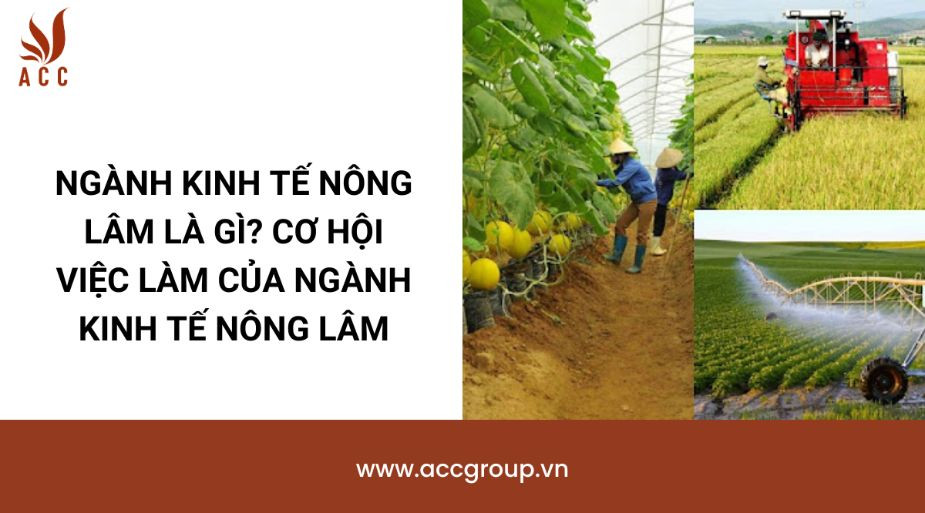Ngành kinh tế nông lâm là gì? Cơ hội việc làm của ngành kinh tế nông lâm