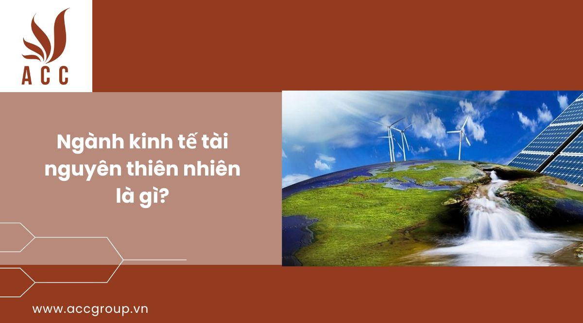 Ngành kinh tế tài nguyên thiên nhiên là gì