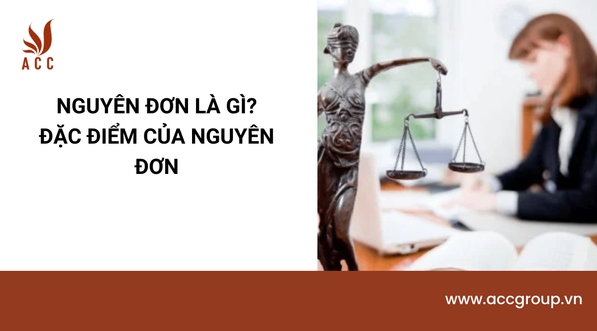 Nguyên đơn là gì? Đặc điểm của nguyên đơn