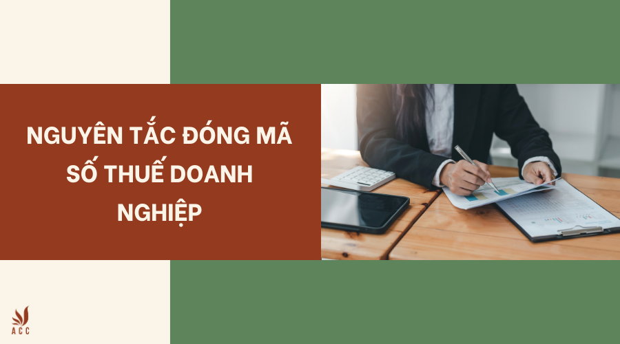 Nguyên tắc đóng mã số thuế doanh nghiệp