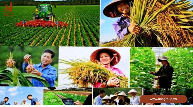 Nhiệm vụ của Hội Nông dân Việt Nam