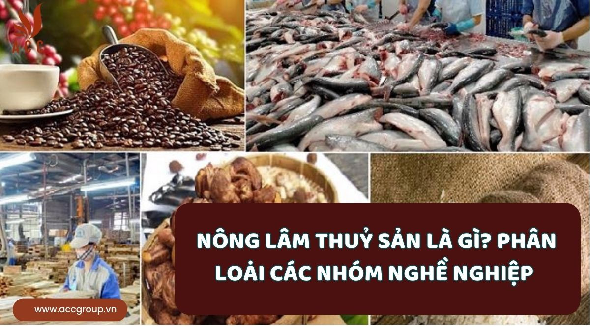 Nông lâm thuỷ sản là gì? Phân loại các nhóm nghề nghiệp