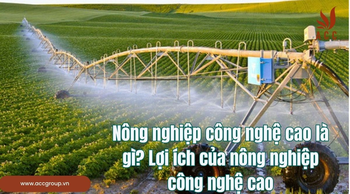 Nông nghiệp công nghệ cao là gì? Lợi ích của nông nghiệp công nghệ cao