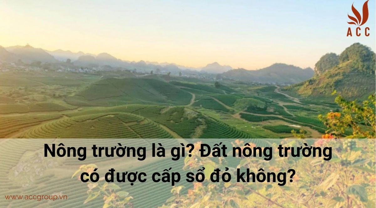 Nông trường là gì? Đất nông trường có được cấp sổ đỏ không?