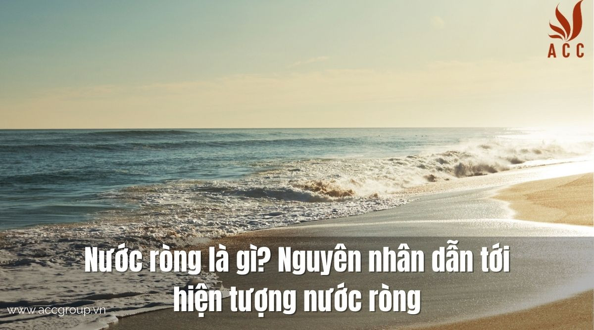 Nước ròng là gì? Nguyên nhân dẫn tới hiện tượng nước ròng