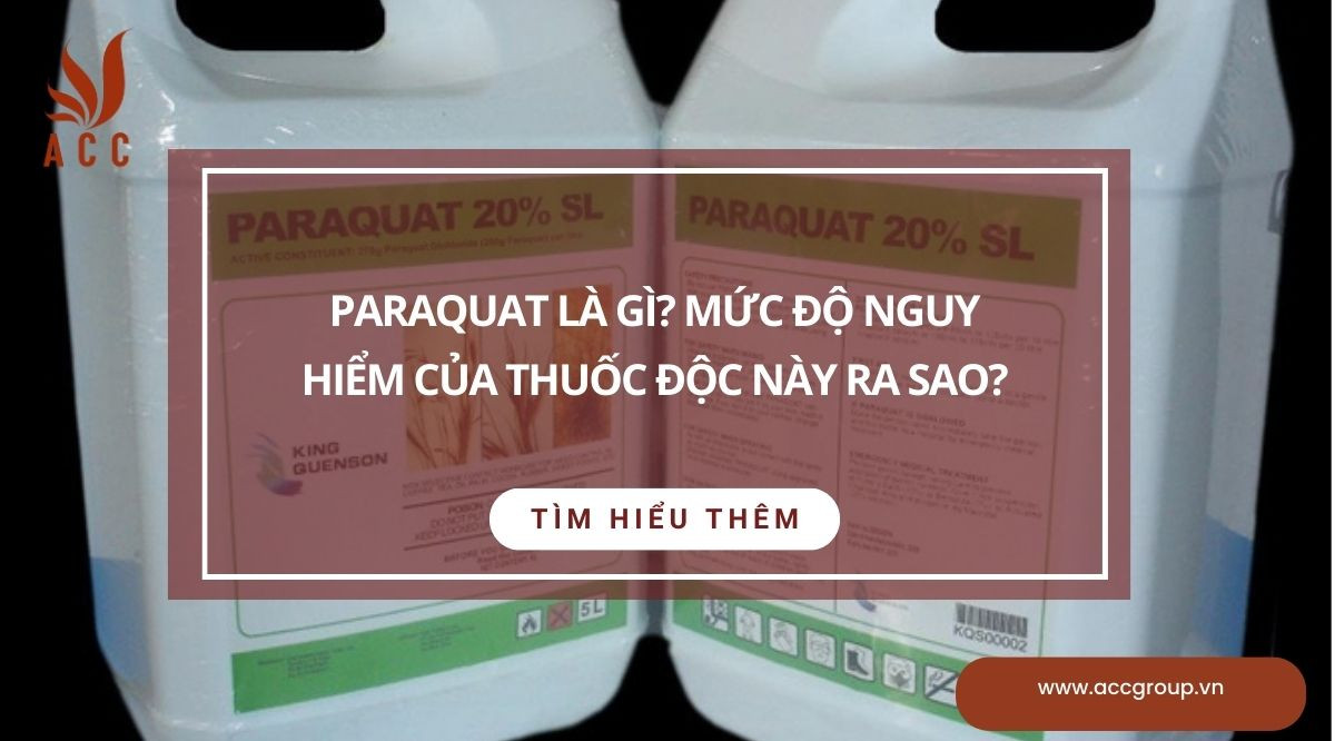 Paraquat là gì? Mức độ nguy hiểm của thuốc độc này ra sao?