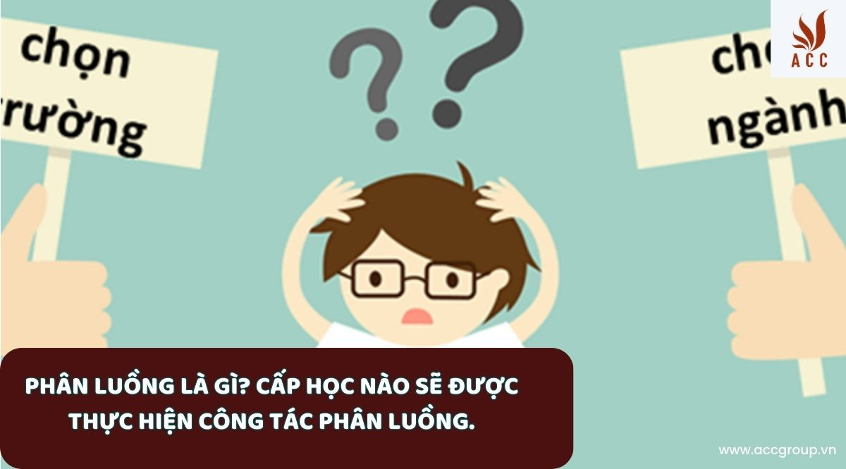 Phân luồng là gì? Cấp học nào sẽ được thực hiện công tác phân luồng.