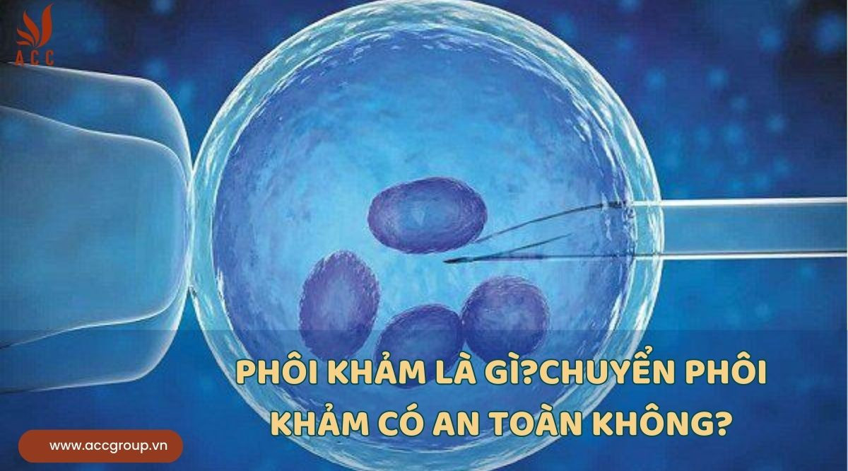 Phôi khảm là gì?Chuyển phôi khảm có an toàn không?