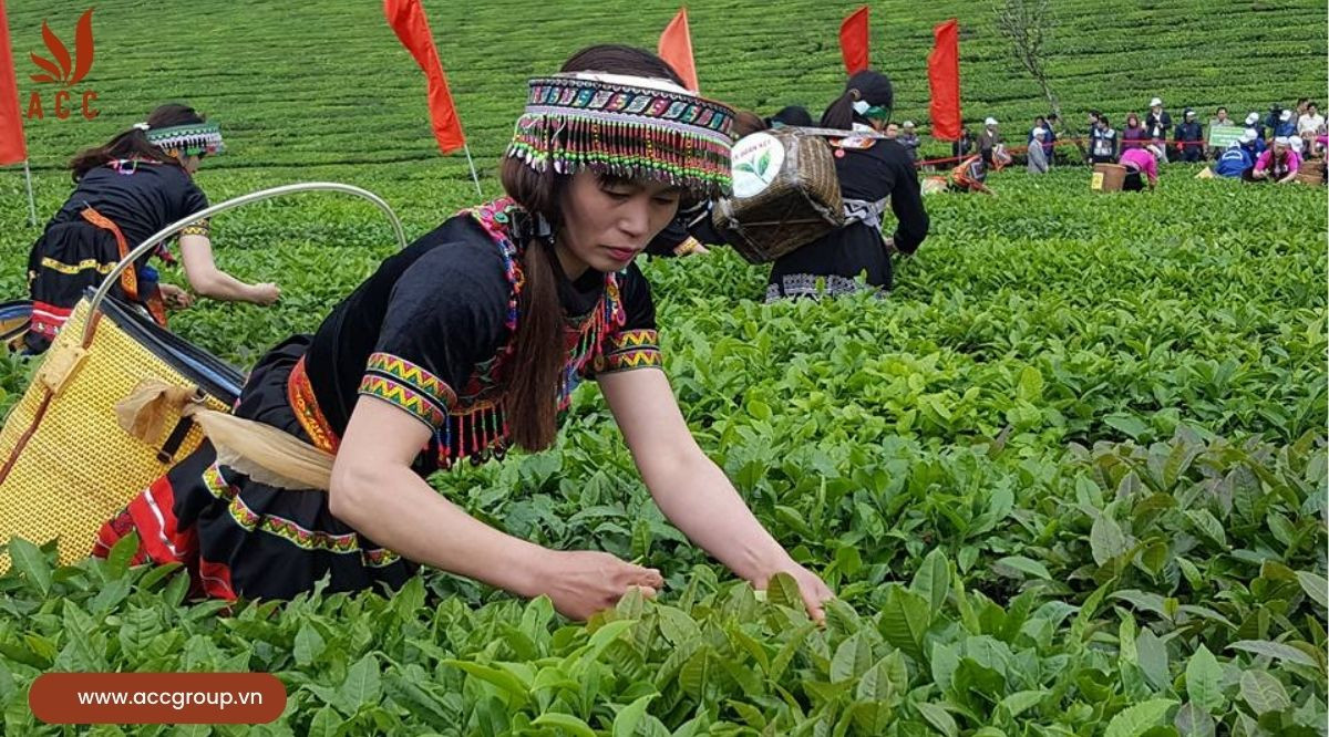 Quy định quản lý đất nông trường