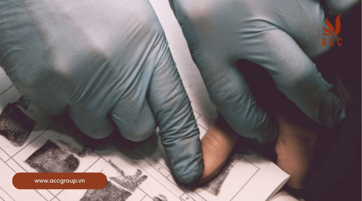 Quy định trong pháp luật về lỗi vô ý