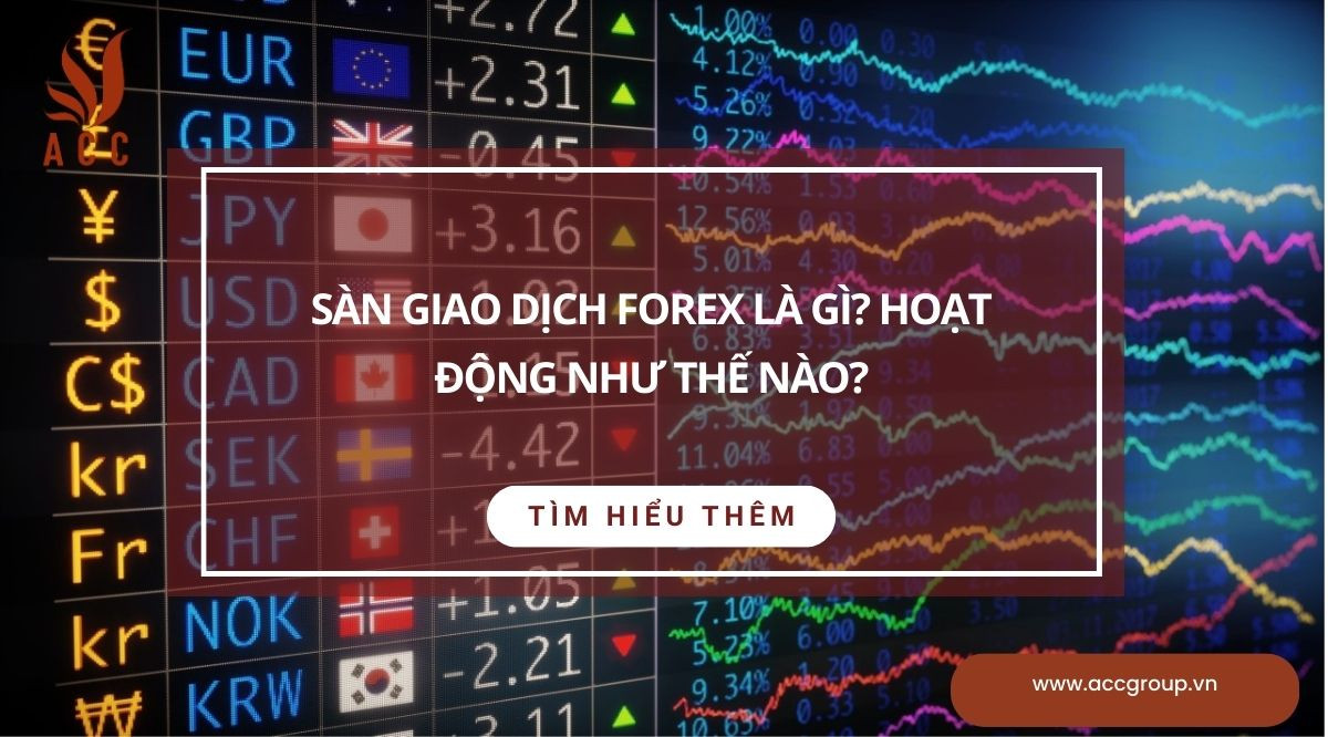Sàn giao dịch forex là gì? Hoạt động như thế nào?