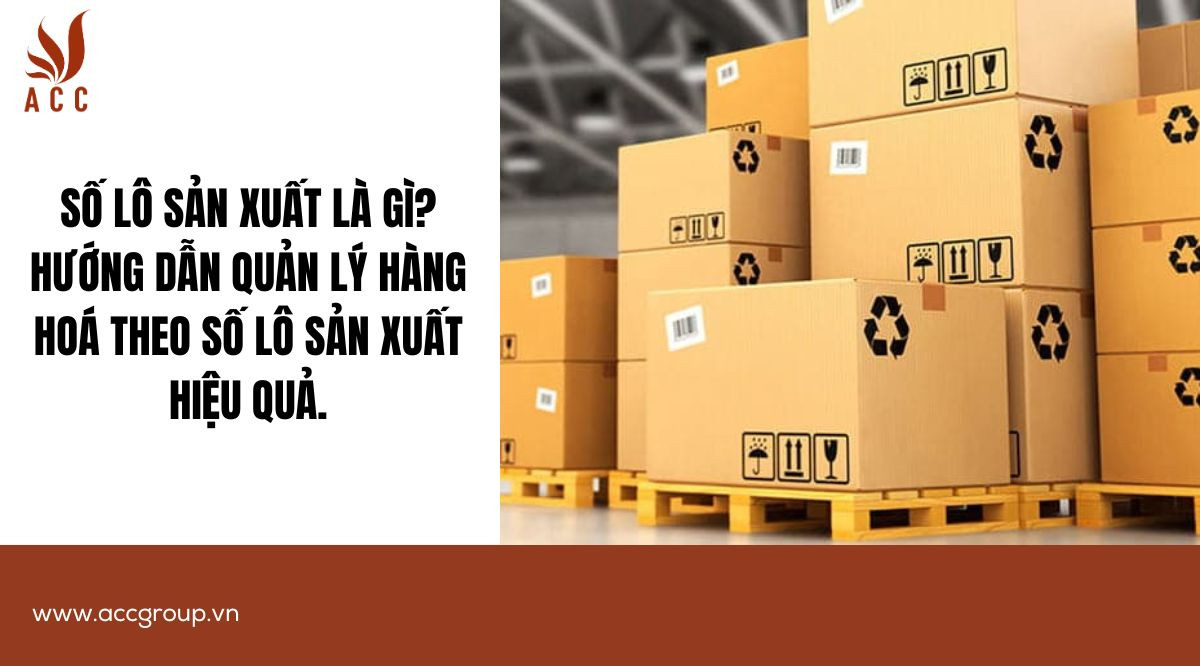 Số lô sản xuất là gì? Hướng dẫn quản lý hàng hoá theo số lô sản xuất hiệu quả.