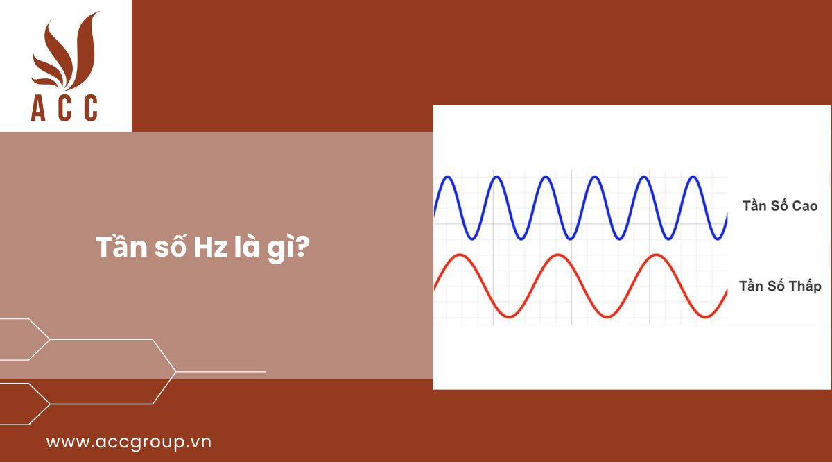 tan-so-hz-la-gi