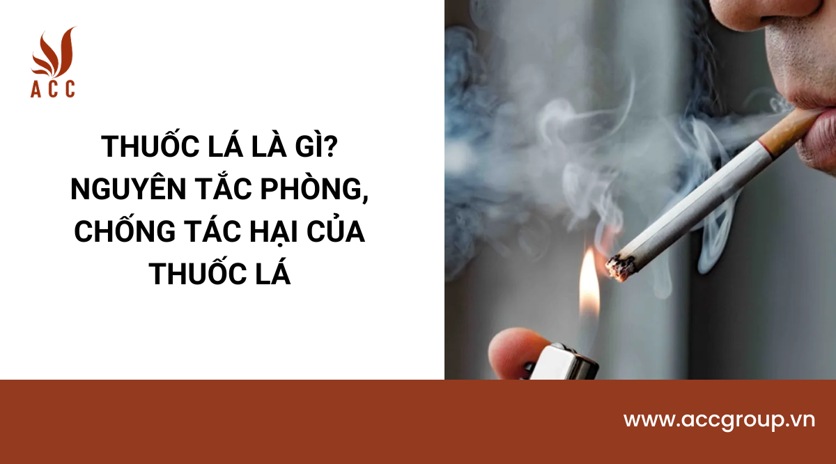 Thuốc lá là gì? Nguyên tắc phòng, chống tác hại của thuốc lá