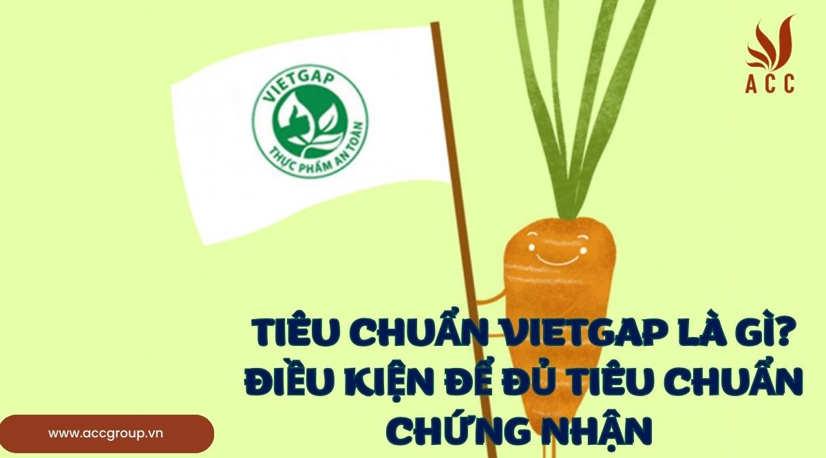Tiêu chuẩn VietGAP là gì?Điều kiện để đủ tiêu chuẩn chứng nhận