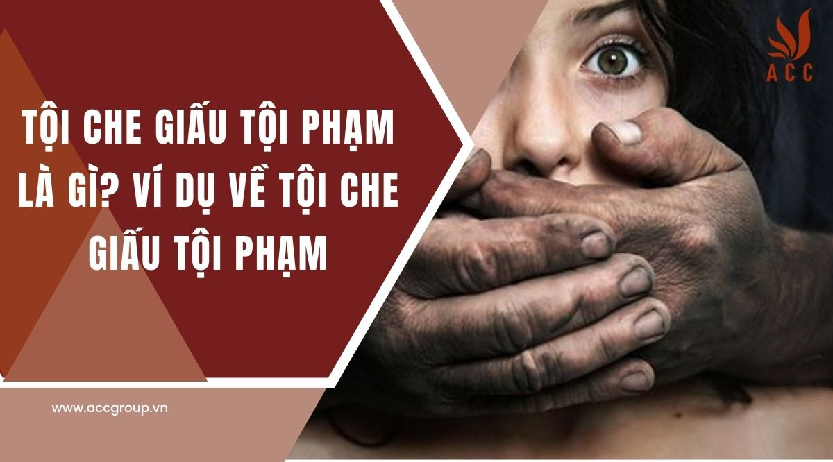Tội che giấu tội phạm là gì? Ví dụ về tội che giấu tội phạm