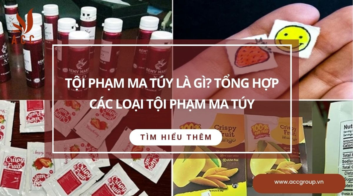 Tội phạm ma túy là gì? Tổng hợp các loại tội phạm ma túy