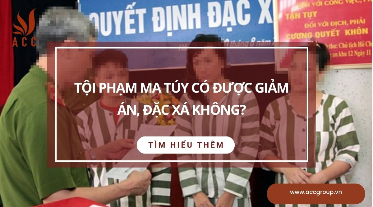Tội phạm ma túy có được giảm án, đặc xá không