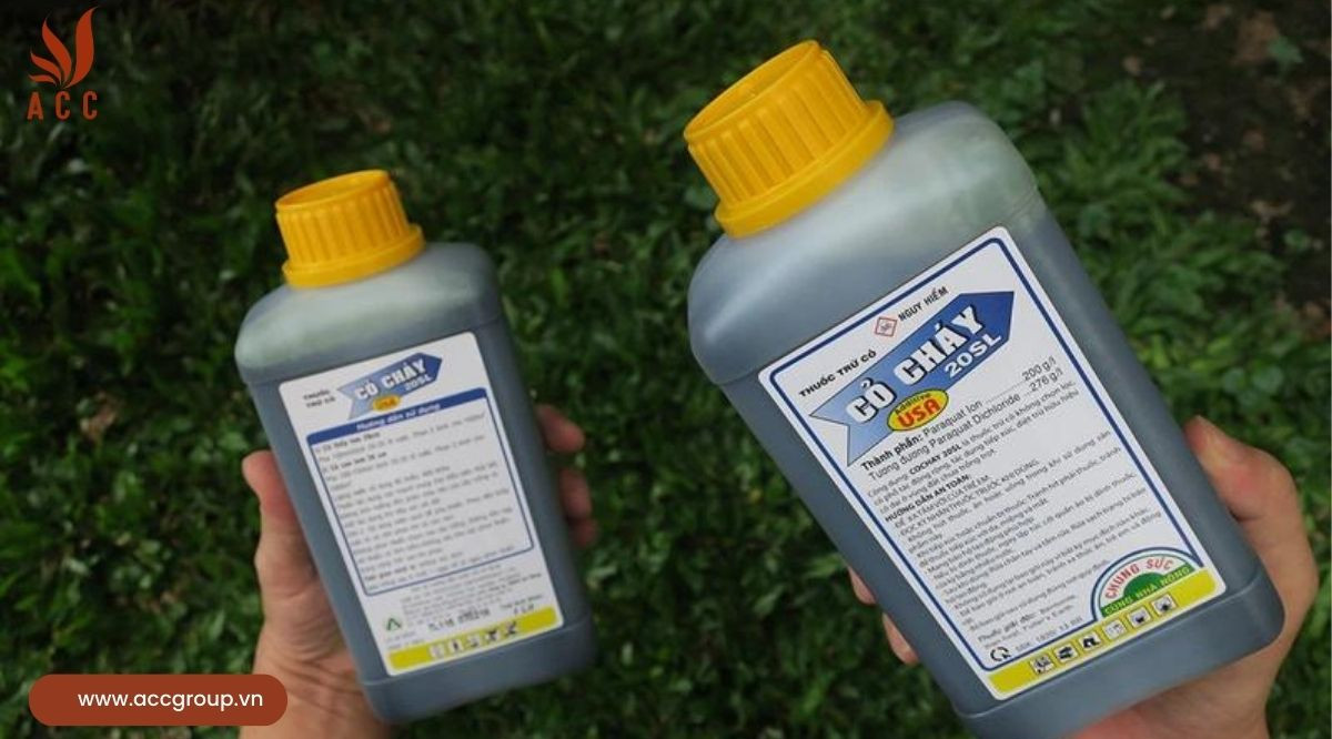 Triệu chứng ngộ độc paraquat