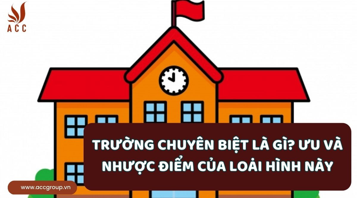 Trường chuyên biệt là gì? Ưu và nhược điểm của loại hình này