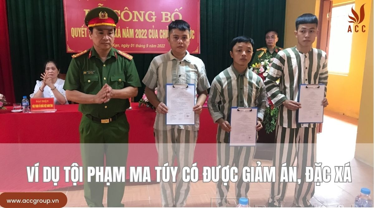  Ví dụ tội phạm ma túy có được giảm án, đặc xá  