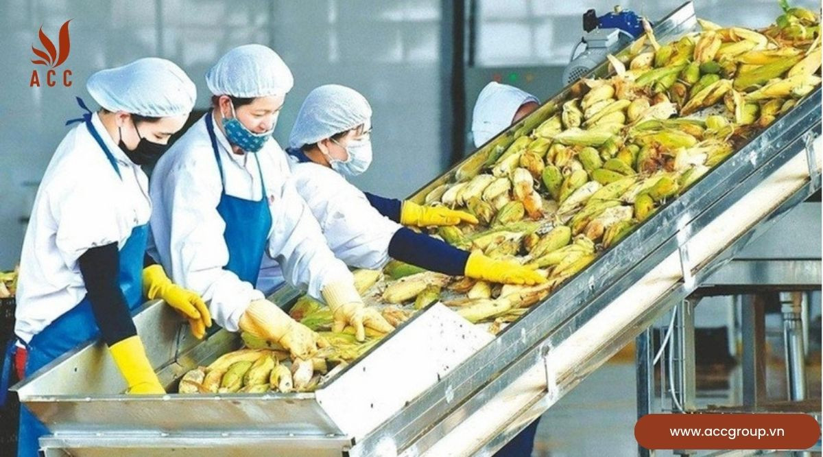 Yêu cầu chung của các nghề thuộc lĩnh vực Nông, Lâm nghiệp và Thủy sản