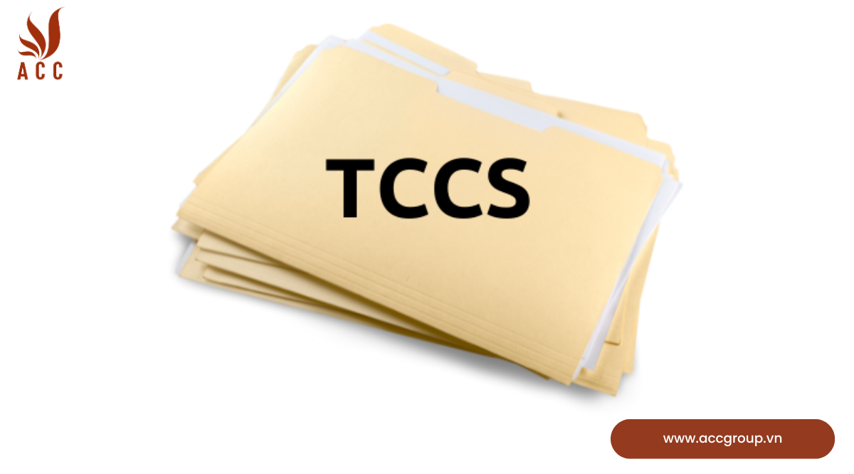 Yêu cầu và căn cứ xây dựng TCCS