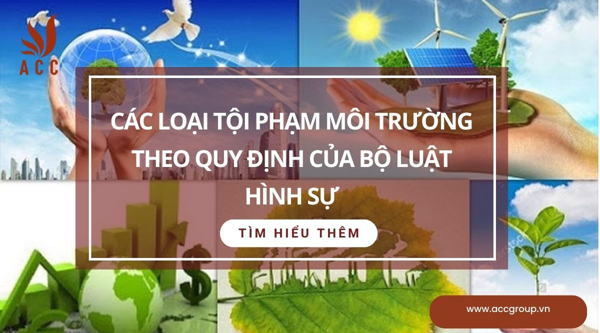 Các loại tội phạm môi trường theo quy định của Bộ luật Hình sự