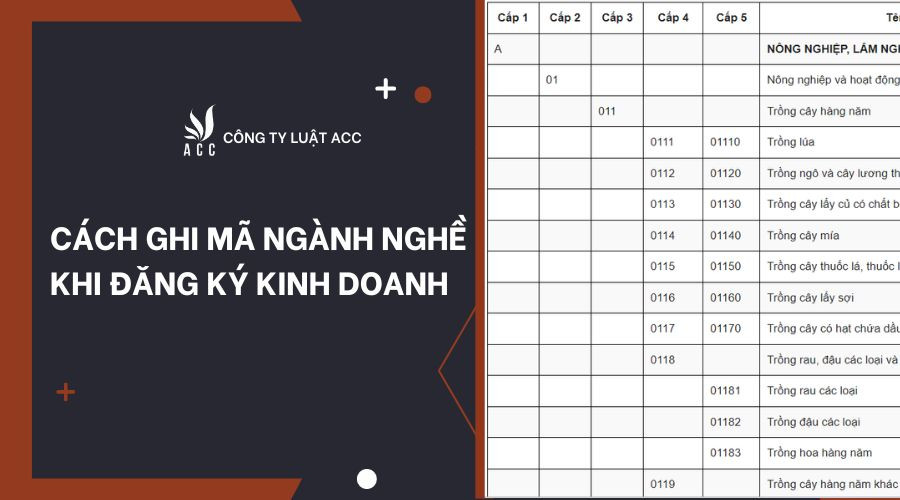 cach-ghi-ma-nganh-nghe-khi-dang-ky-kinh-doanh