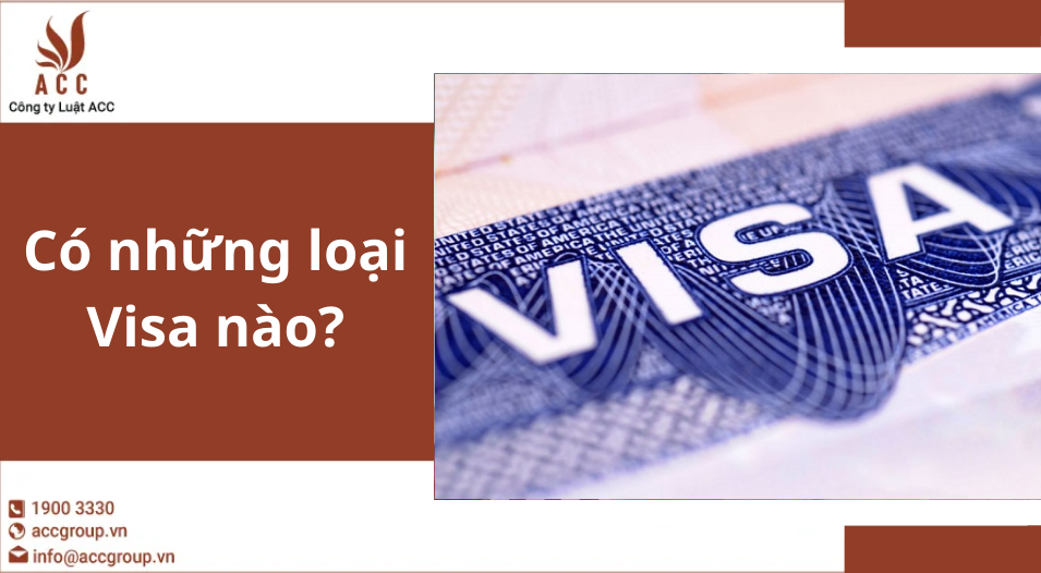 Có những loại Visa nào?